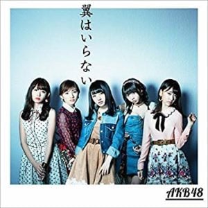 向井地美音, AKB48, 総監督, 翼はいらない