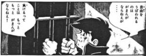 鑑別所, 少年院