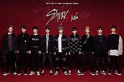 Stray Kids, ストレイキッズ, スキズ, オーディション, 番組