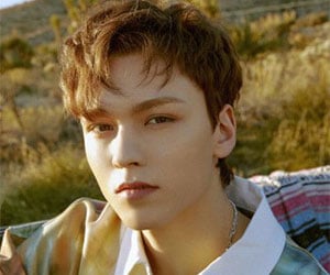 バーノン, seventeen, セブンティーン, セブチ, メンバー, プロフィール, 身長, 年齢, 誕生日, メンバーカラー