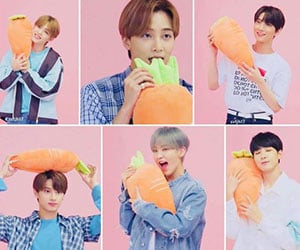 セブンティーン, seventeen, セブチ, ファンネーム, カラット, にんじん