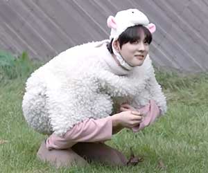 ジョンウォン, 羊, コスプレ