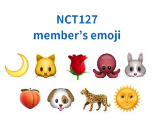NCT127（イリチル）メンバーの絵文字