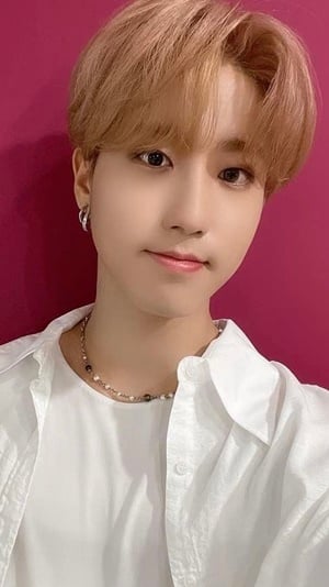 straykidsのハン