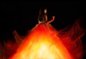 Aimer（エメ）